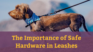 The Importance of Safe Hardware in Leashes