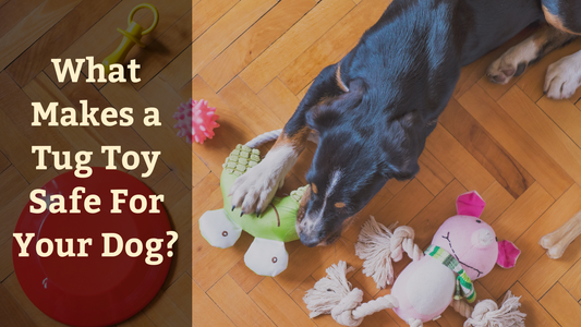 What Makes a Safe Tug Toy?