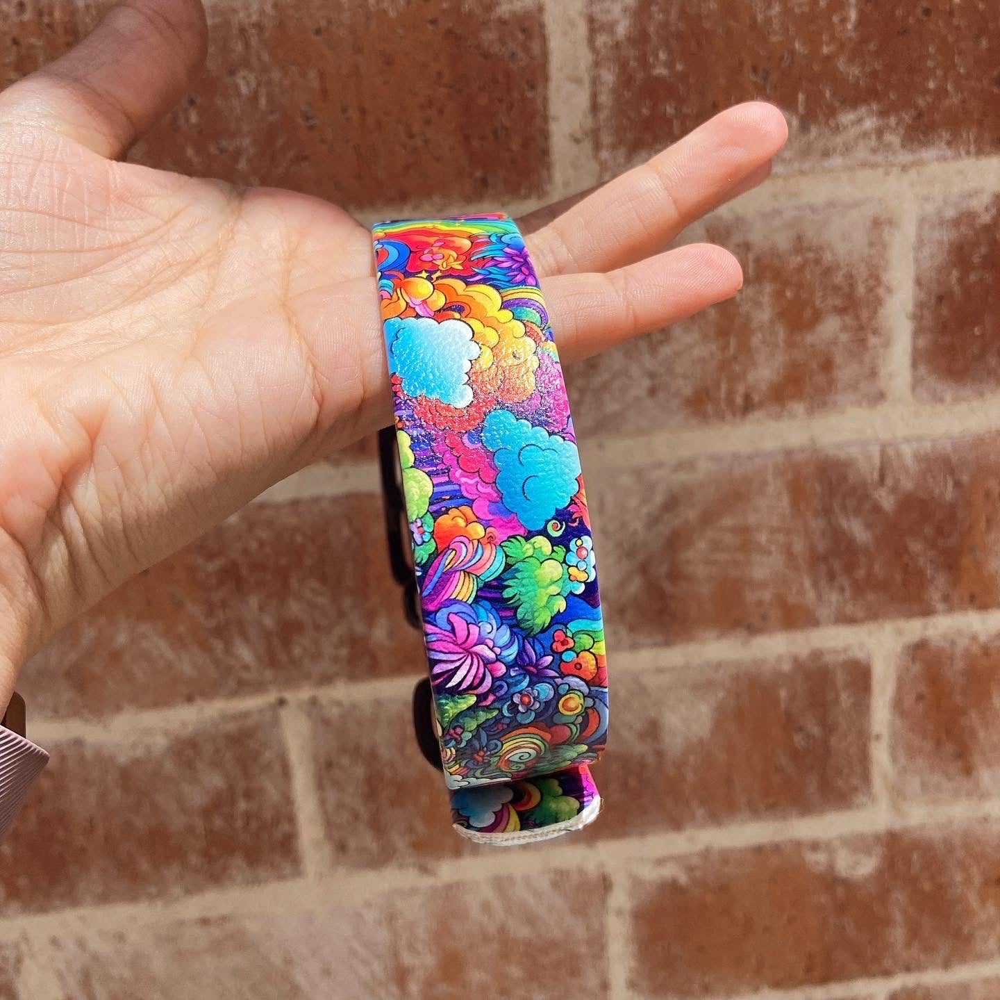 Custom BioThane Collar- Made To Order