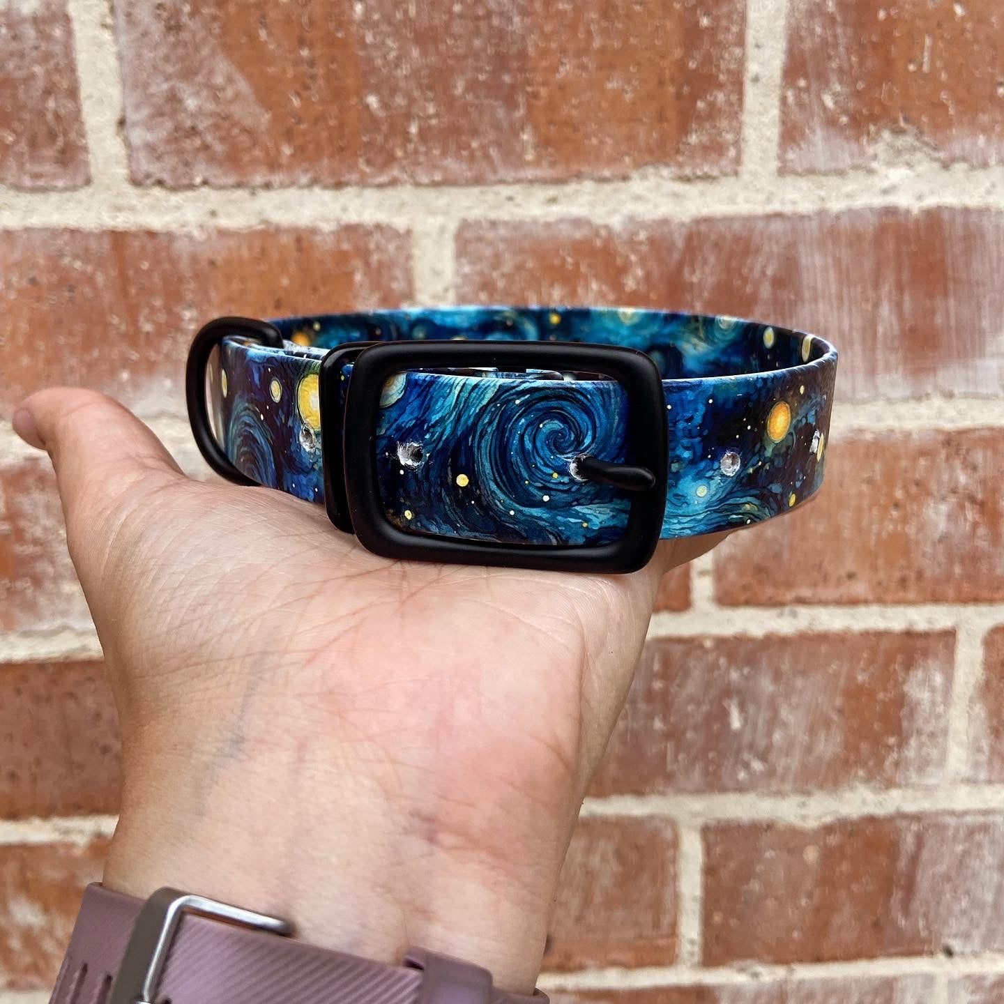 Custom UV Printed BioThane Collar- Made To Order