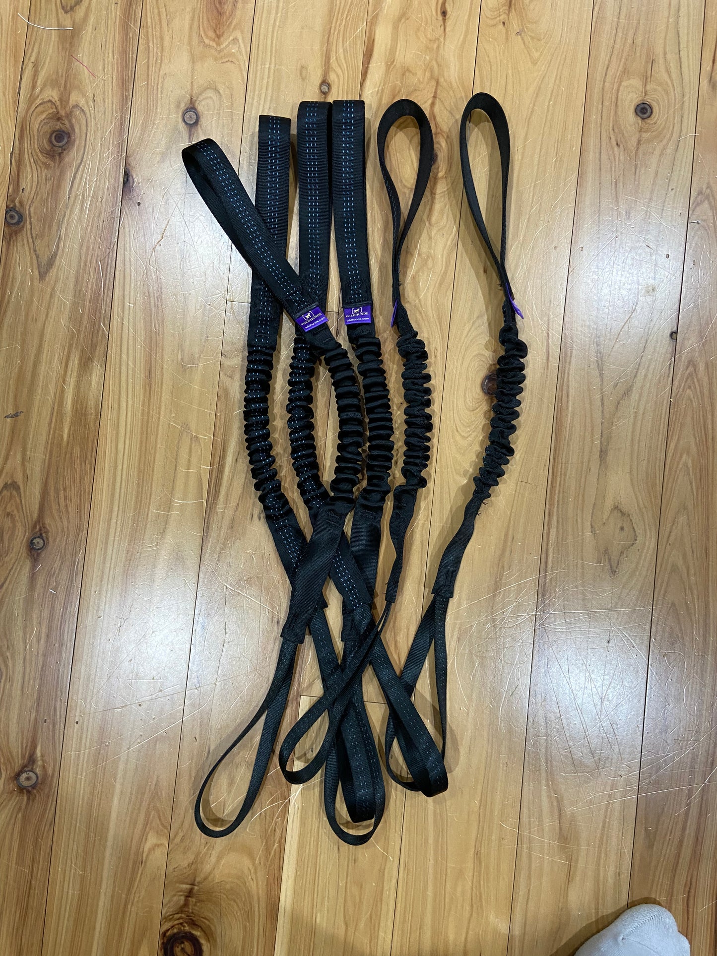 Wildhunde Bungee Handle