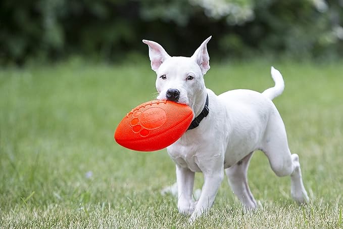 Jolly Pets Football