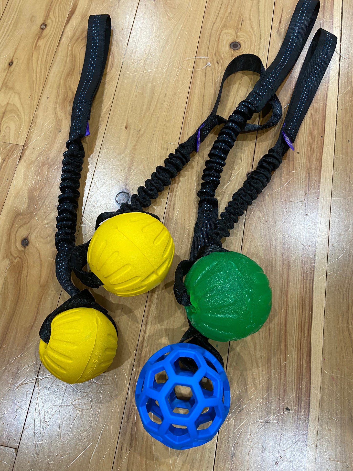 Wildhunde Bungee Handle