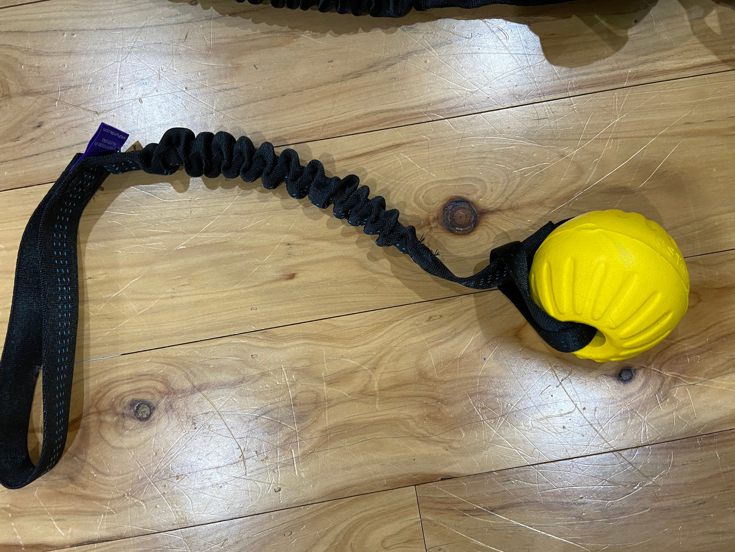 Wildhunde Bungee Handle
