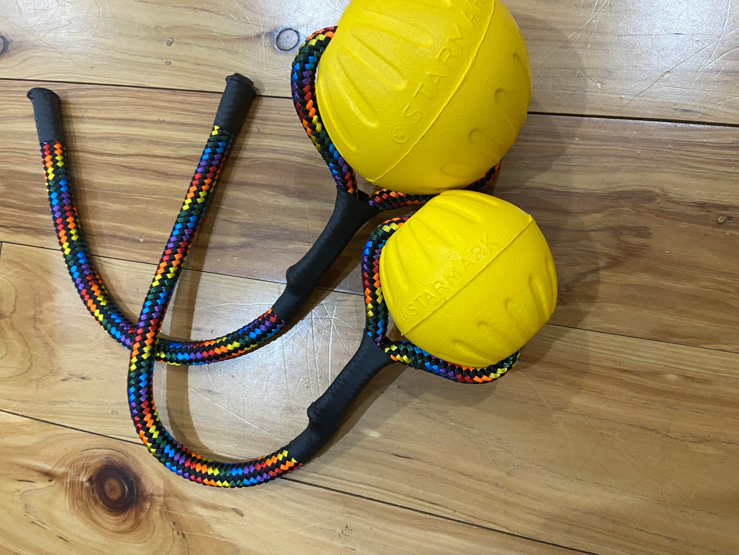 Starmark Durafoam Ball with Wildhunde Rope Handle