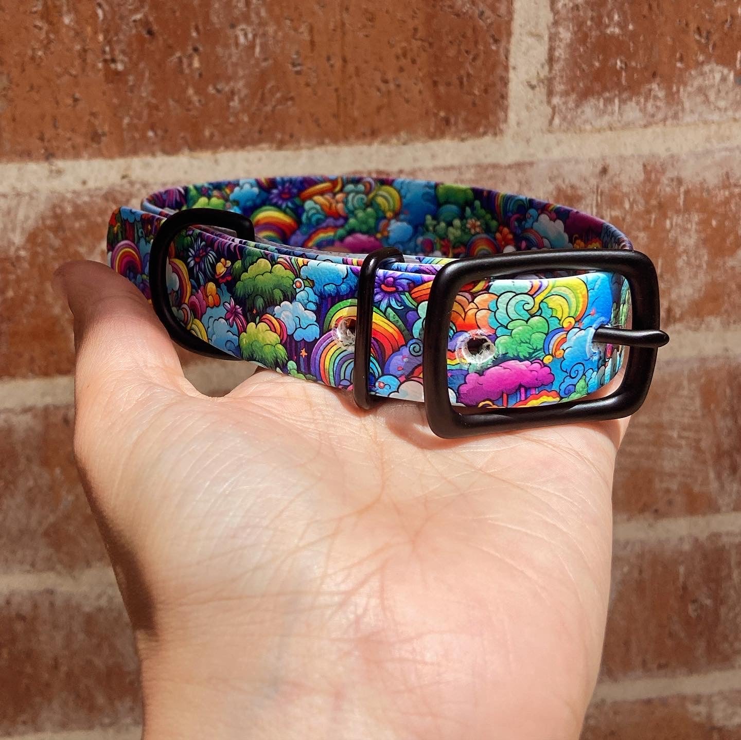 Custom UV Printed BioThane Collar- Made To Order