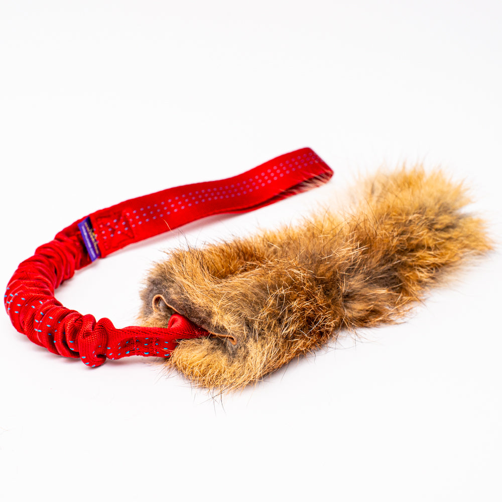Wild-Tug Fox Bungee Tug Toy