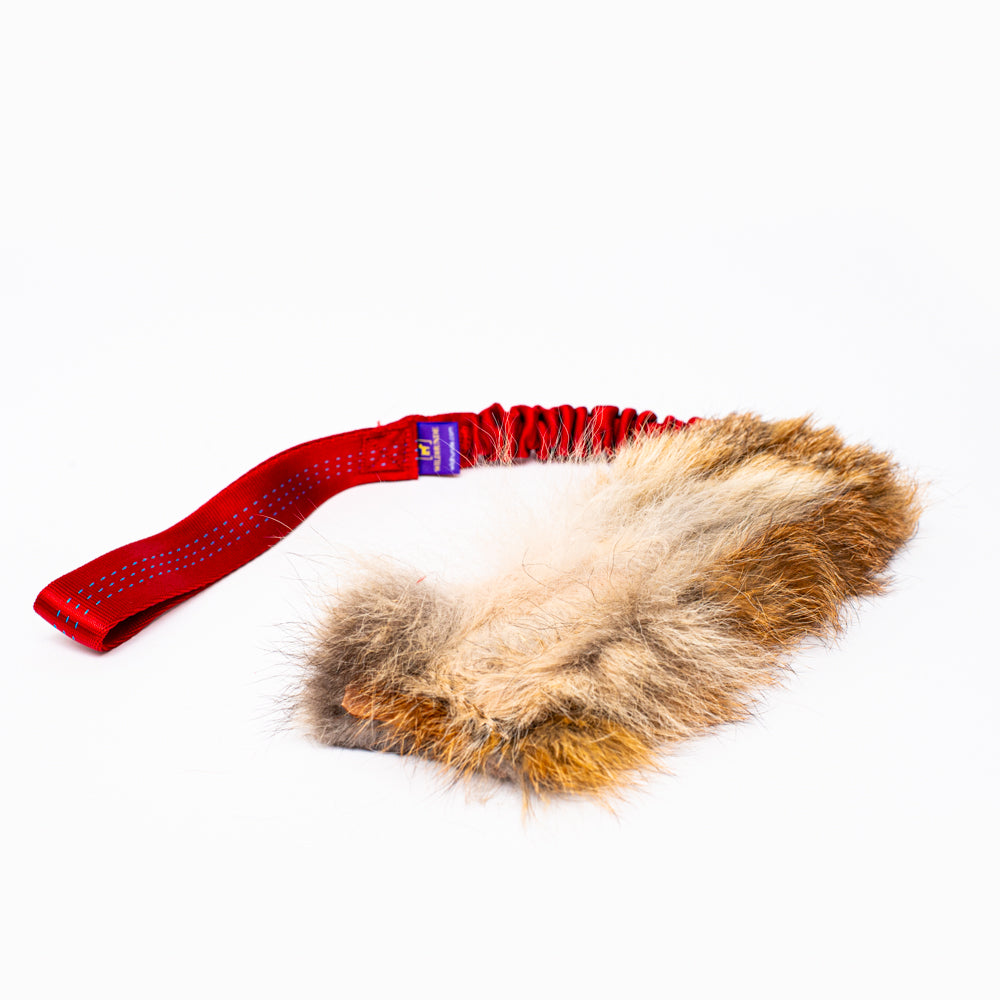 Wild-Tug Fox Bungee Tug Toy