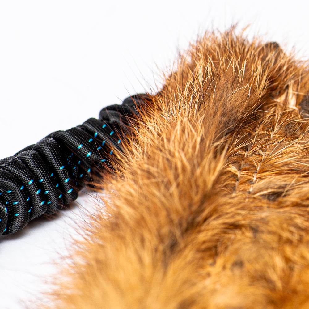 Wild-Tug Fox Bungee Tug Toy