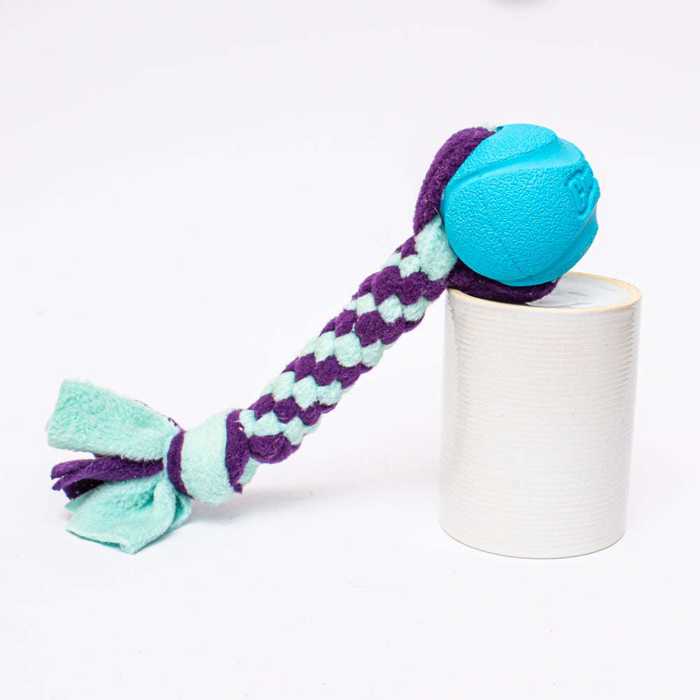 Fetch and Go Ball