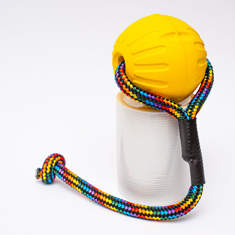 Starmark Durafoam Ball with Wildhunde Rope Handle