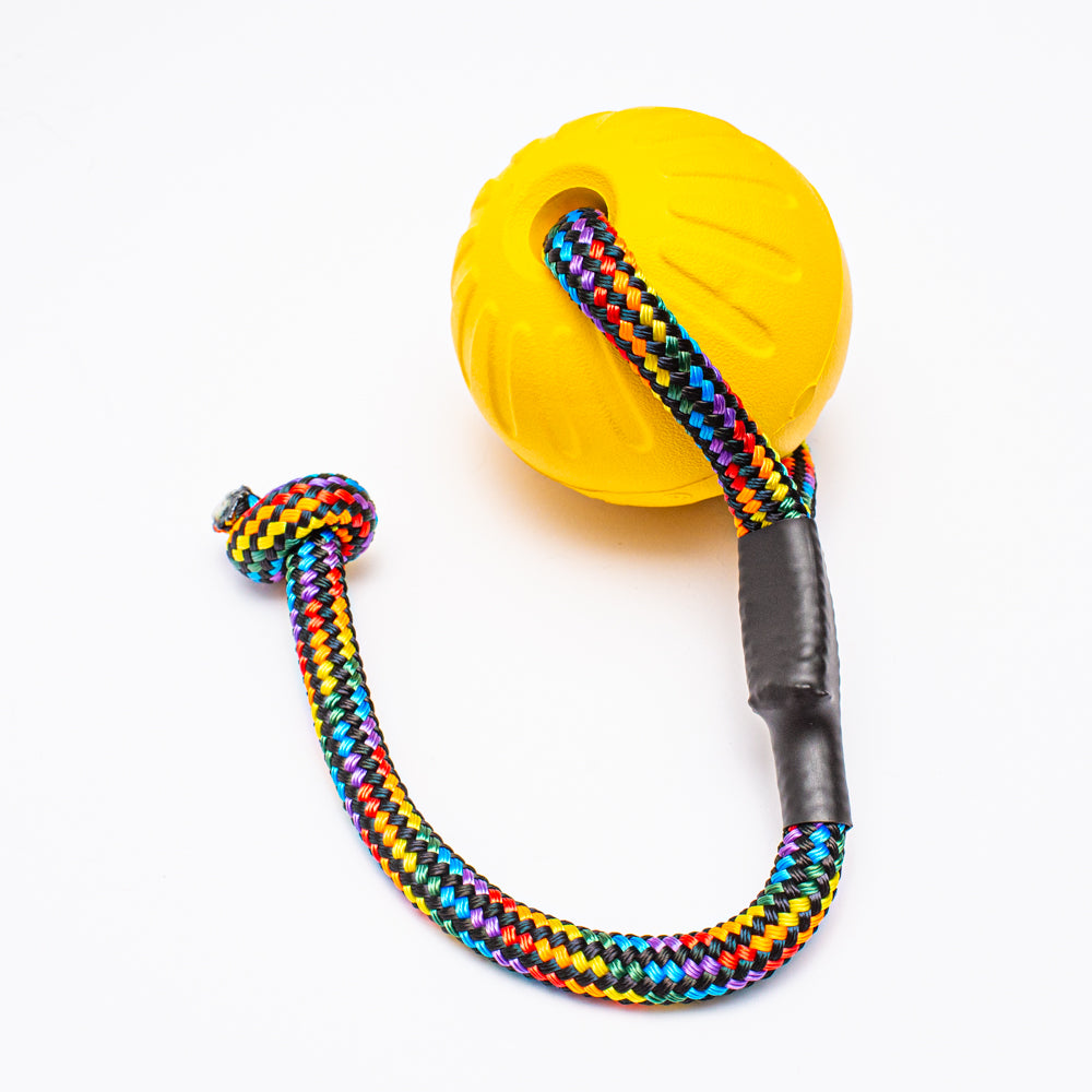 Starmark Durafoam Ball with Wildhunde Rope Handle