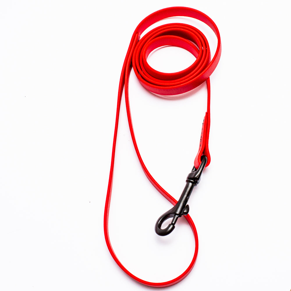 Biothane Light Weight Leash 4ft (120cm/1.2m)