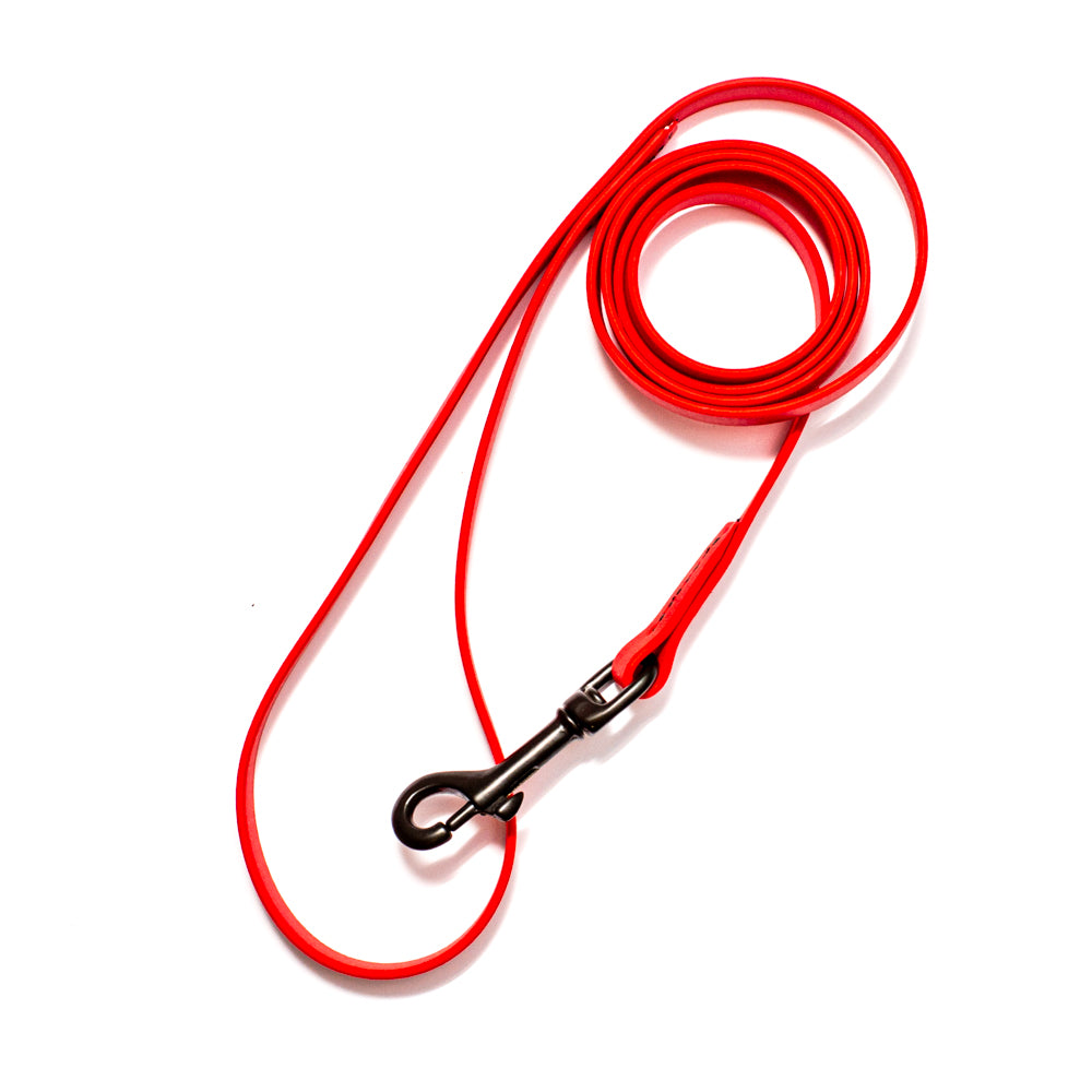 biothane dog leash light weight top view