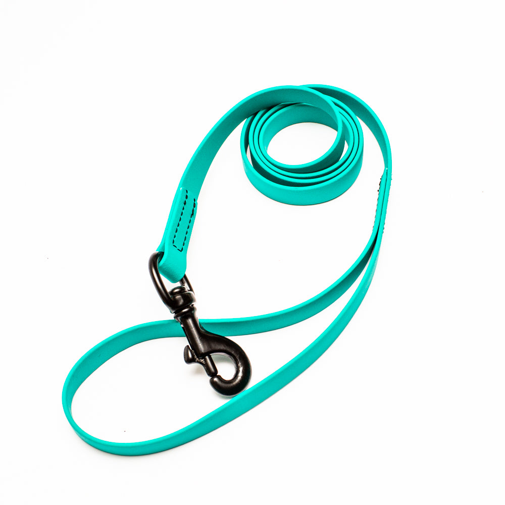 Biothane Leash 4ft (120cm/1.2m)