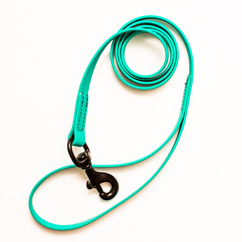 Biothane Leash 4ft (120cm/1.2m)