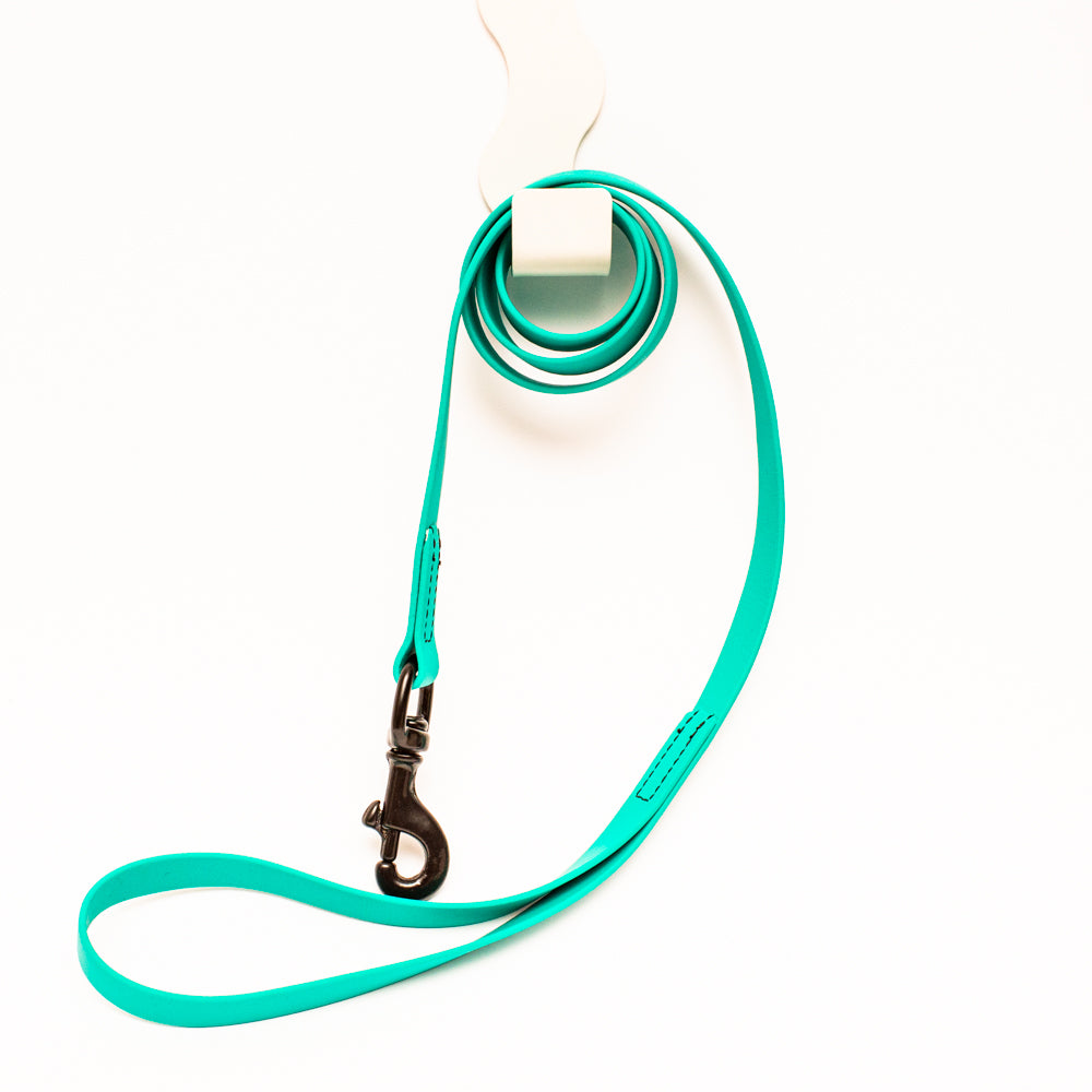 Biothane Leash 4ft (120cm/1.2m)
