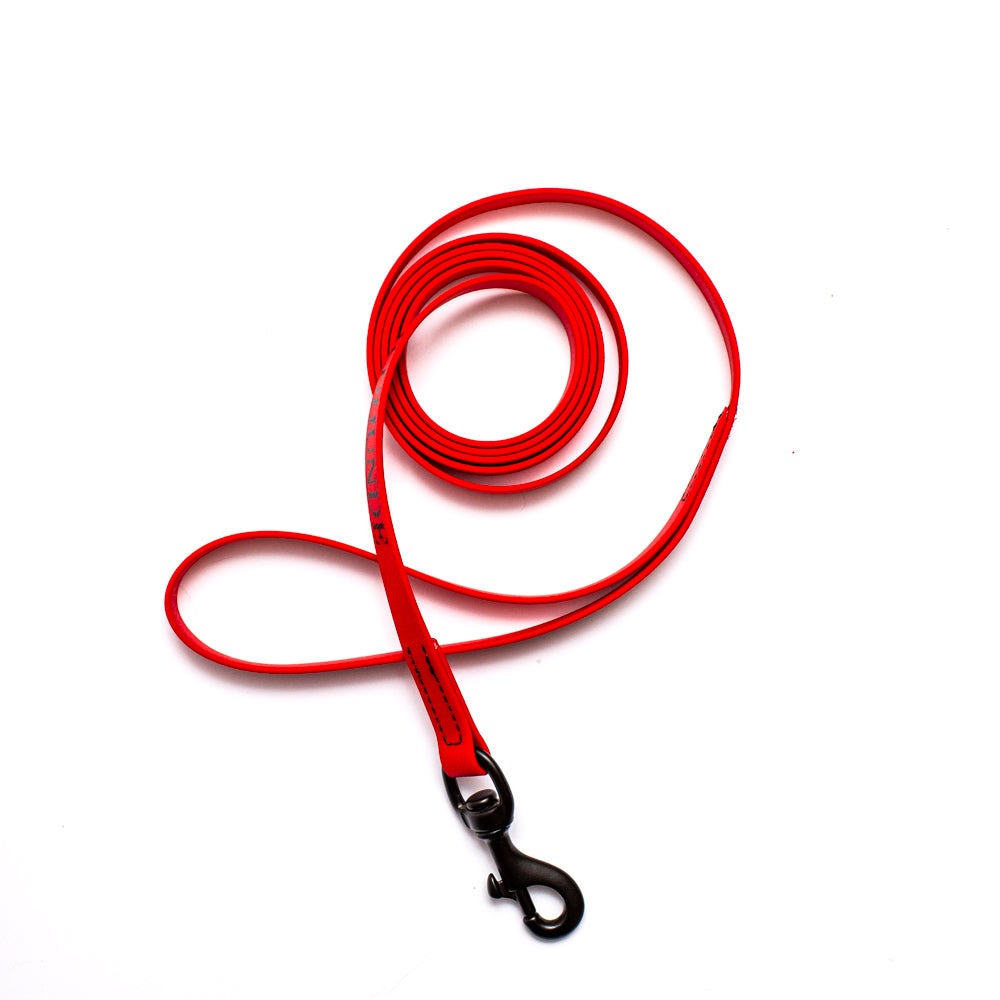 Biothane Leash 6ft (180cm/1.8m)