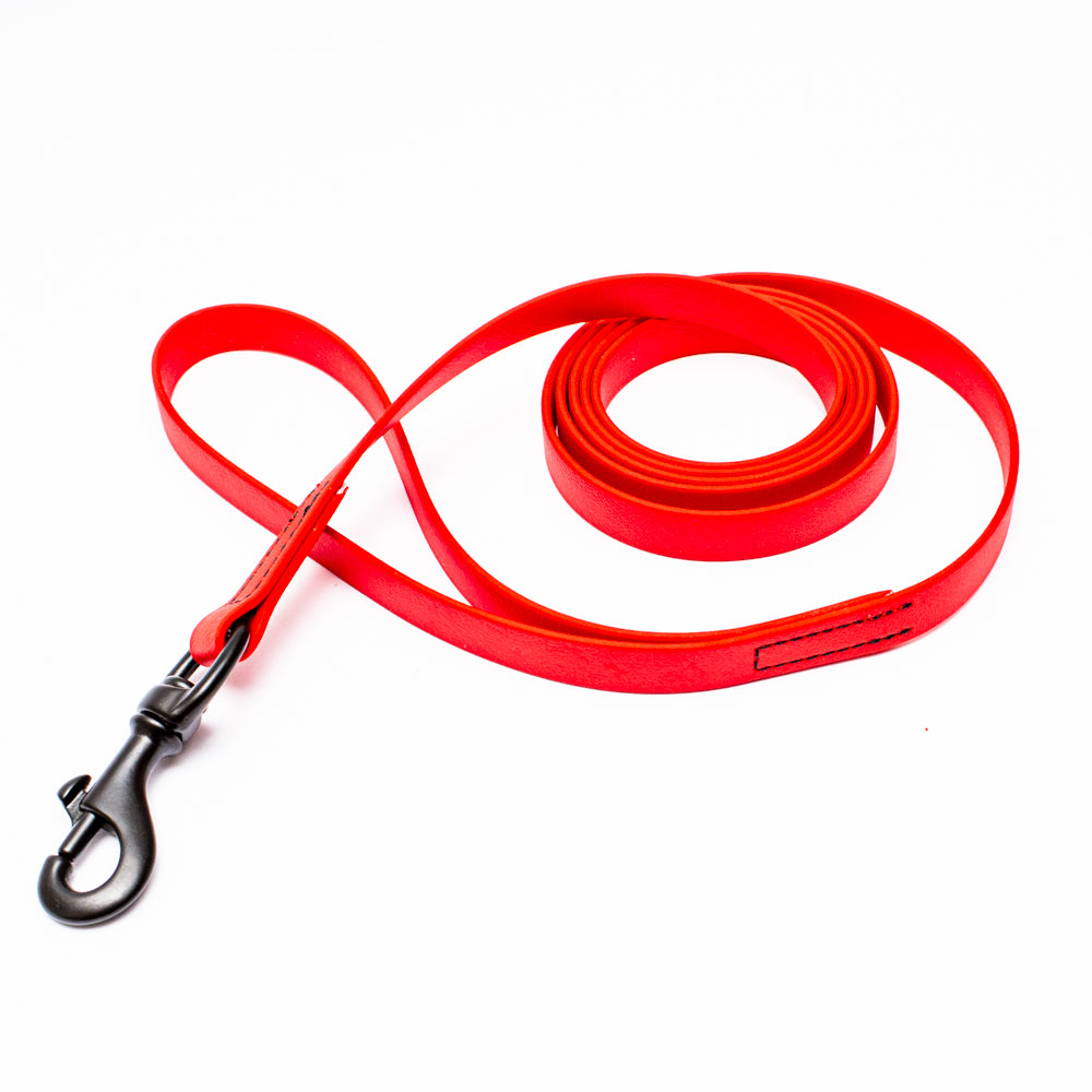 Biothane Leash 6ft (180cm/1.8m)