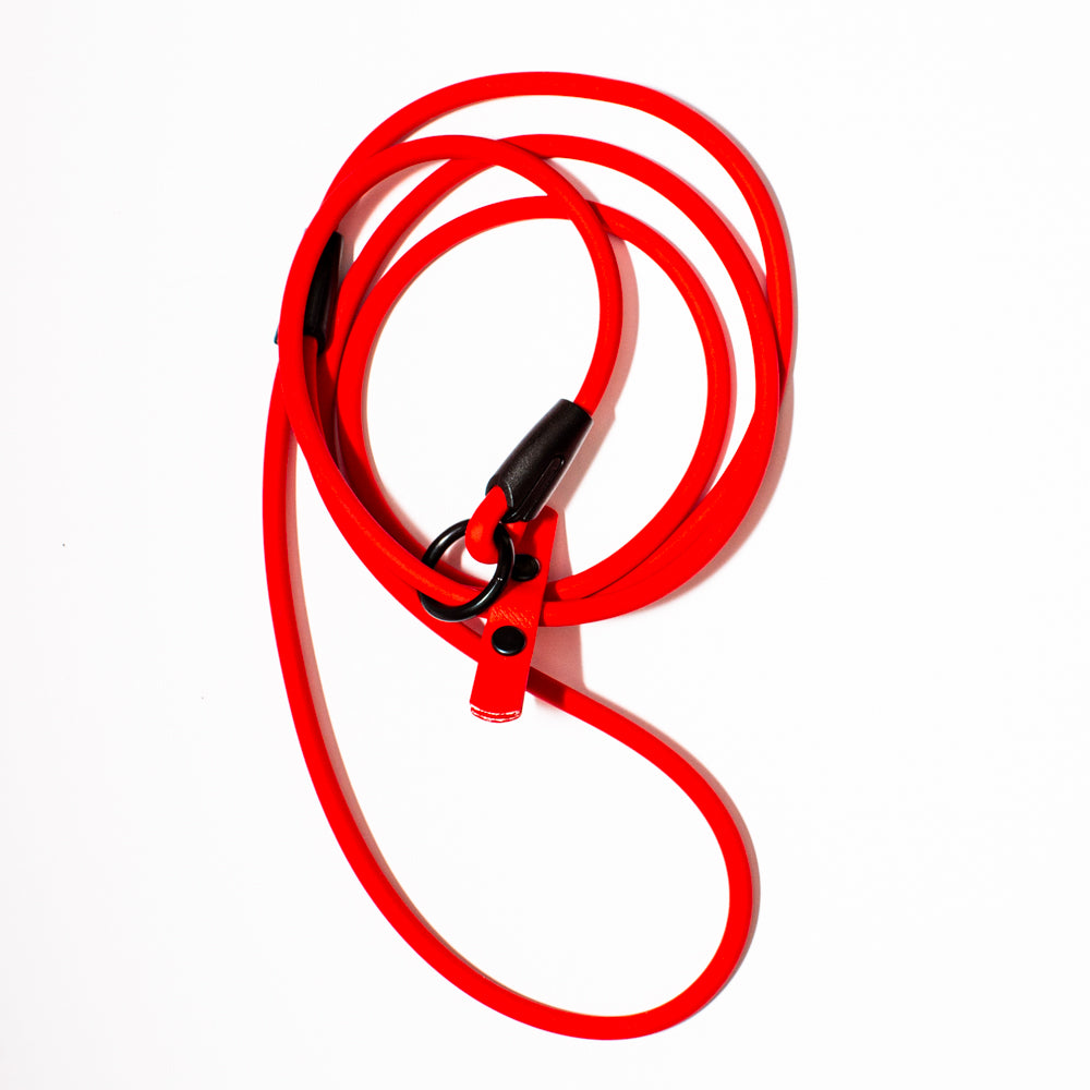 dog slip leash top view