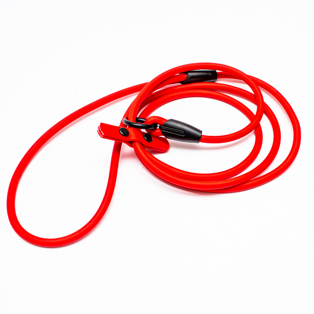 Biothane 1/4"(6mm) Beta Rope Slip Leash