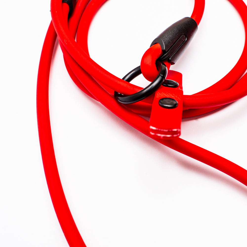 Biothane 1/4"(6mm) Beta Rope Slip Leash