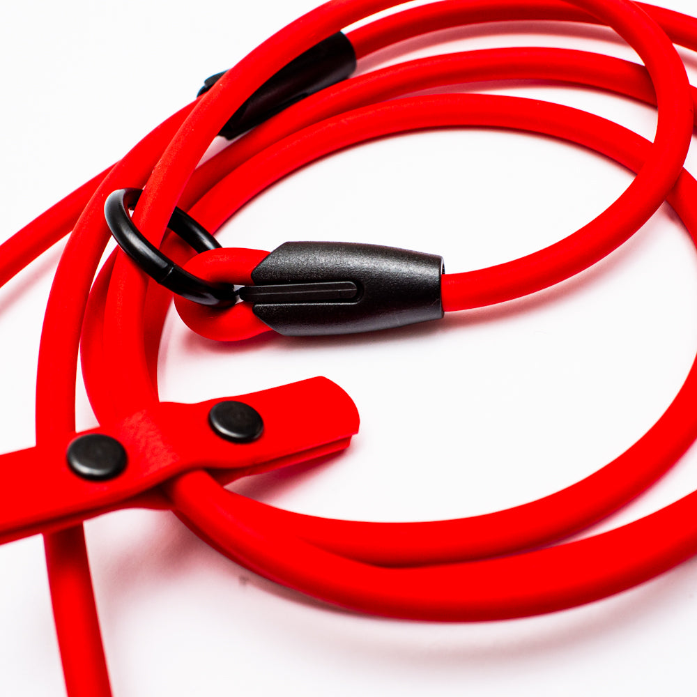 Biothane 1/4"(6mm) Beta Rope Slip Leash