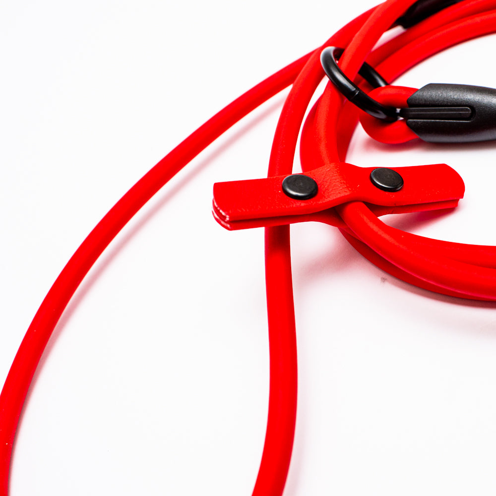 Biothane 1/4"(6mm) Beta Rope Slip Leash