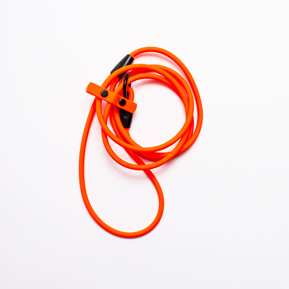 dog slip leash in orange, top view