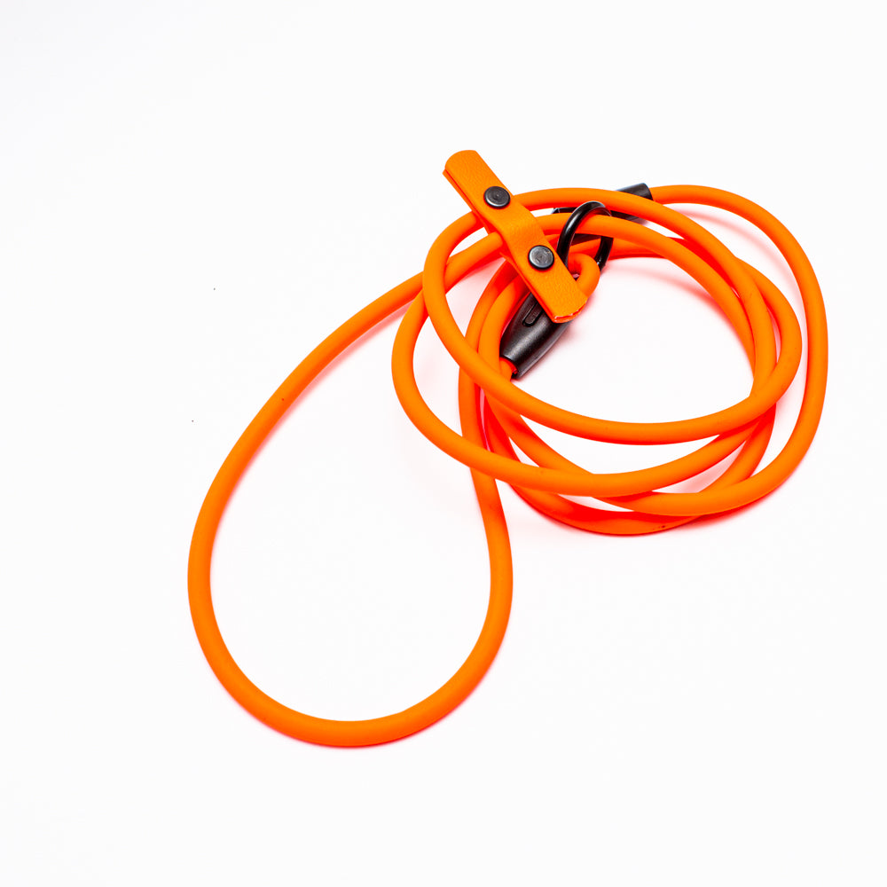 Biothane 1/4"(6mm) Beta Rope Slip Leash