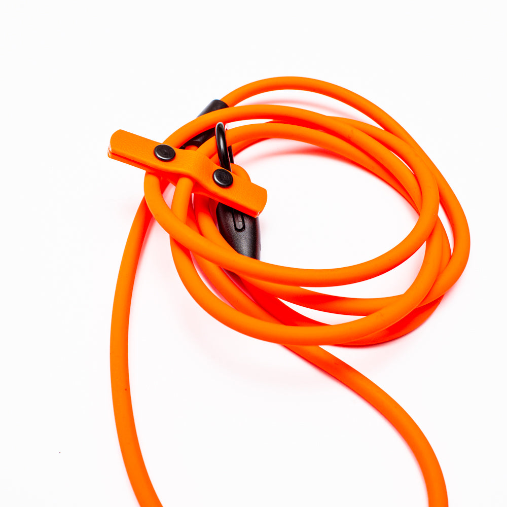 Biothane 1/4"(6mm) Beta Rope Slip Leash