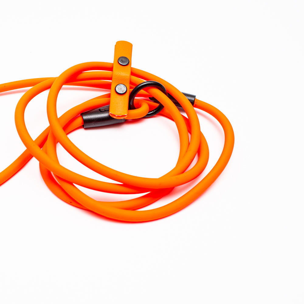 Biothane 1/4"(6mm) Beta Rope Slip Leash