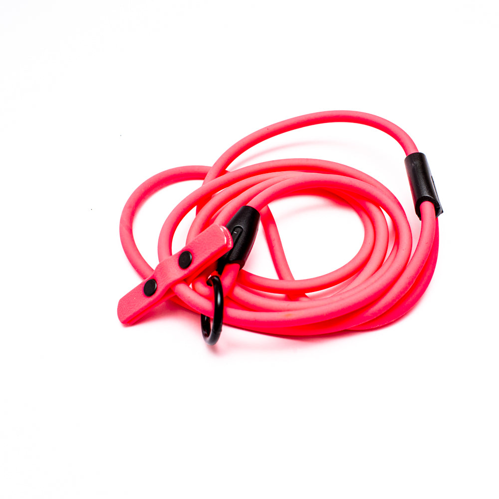 Biothane 1/4"(6mm) Beta Rope Slip Leash