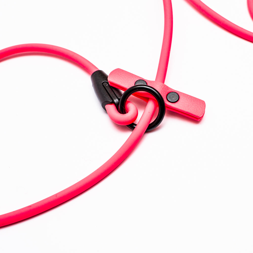 Biothane 1/4"(6mm) Beta Rope Slip Leash