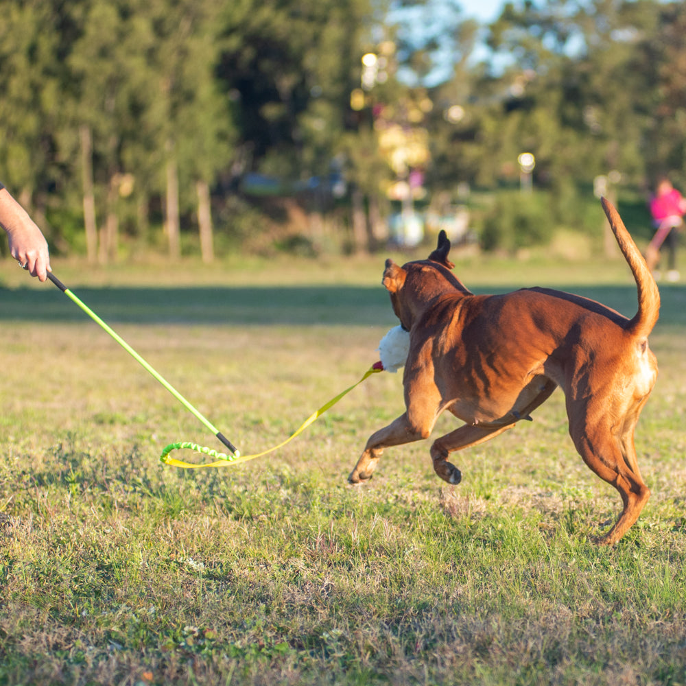 Wildhunde Whirlwind Standard Flirt Pole
