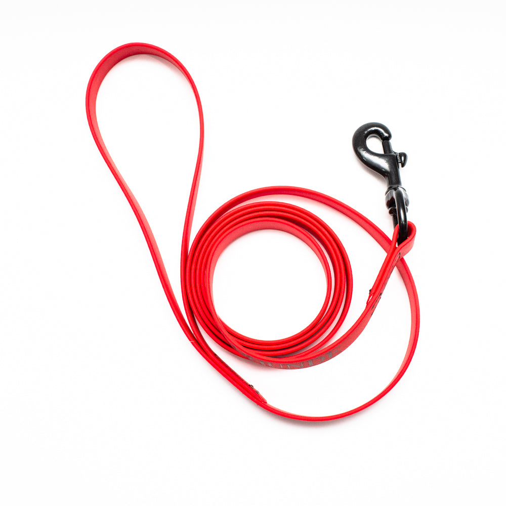 Biothane Leash 6ft (180cm/1.8m)