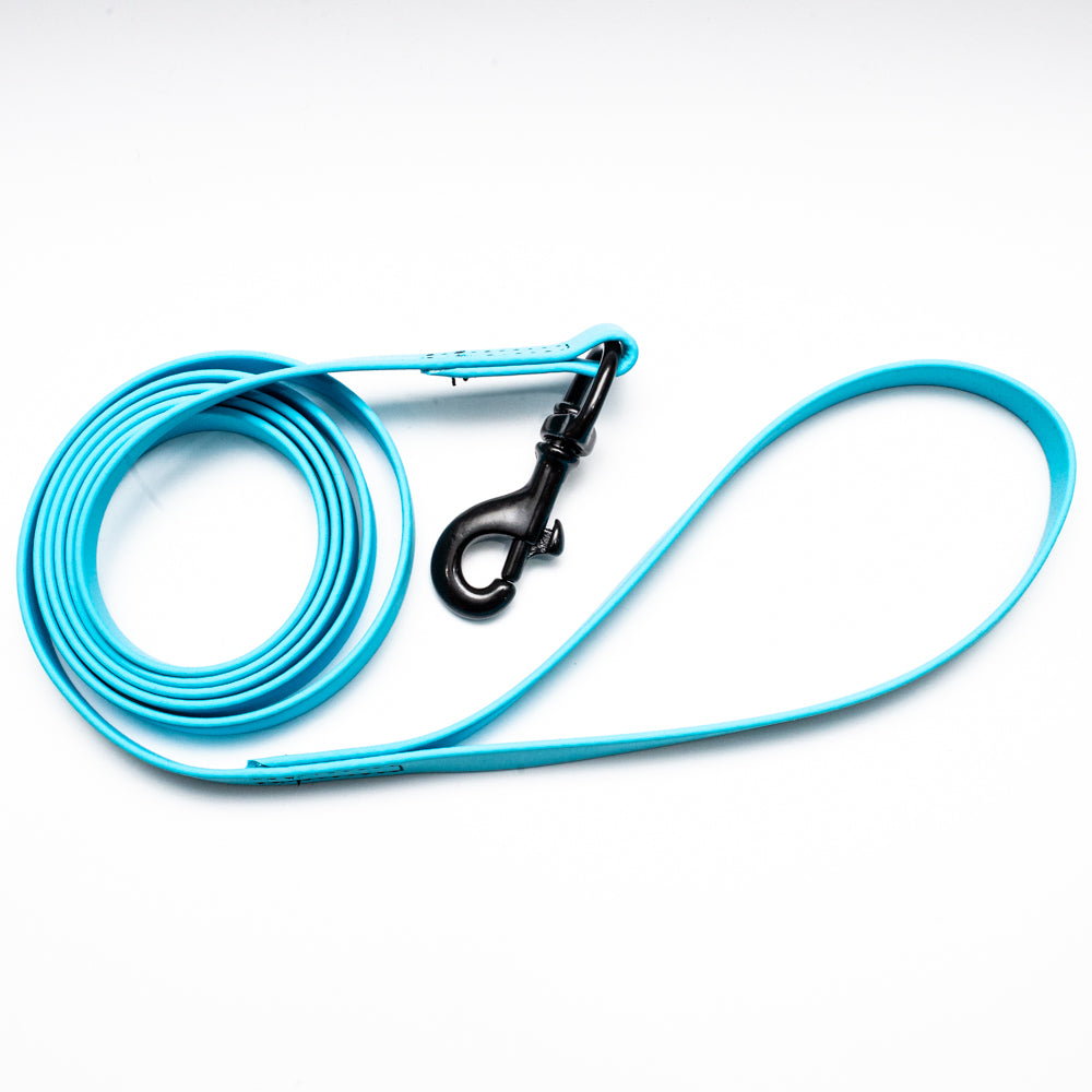 Biothane Leash 6ft (180cm/1.8m)