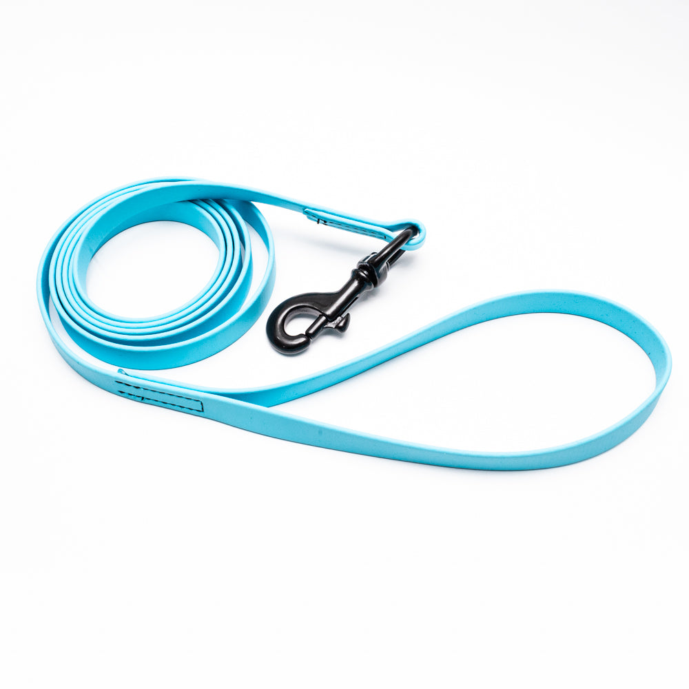Biothane Leash 6ft (180cm/1.8m)