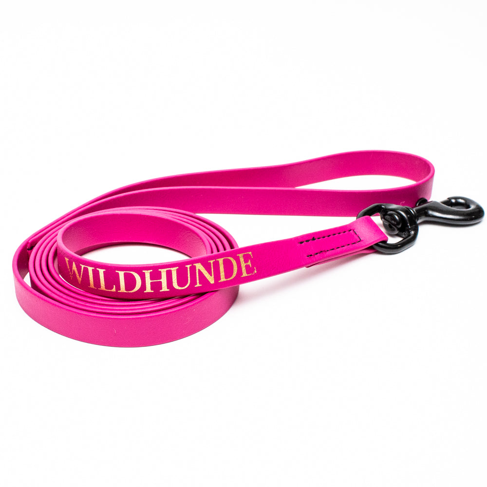Biothane Leash 6ft (180cm/1.8m)