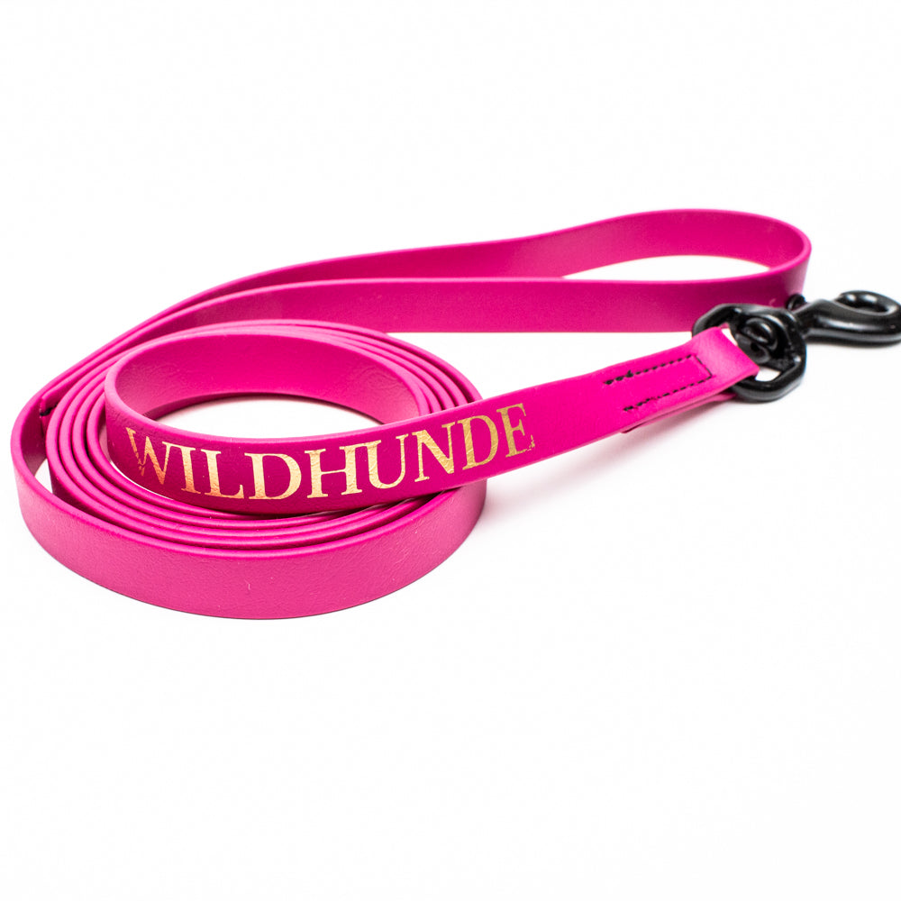 Biothane Leash 6ft (180cm/1.8m)