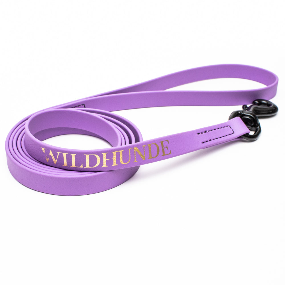 Biothane Leash 6ft (180cm/1.8m)