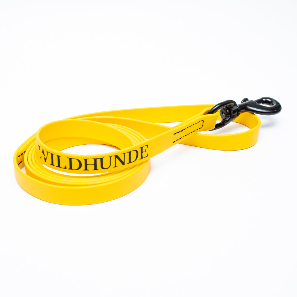 Biothane Leash 6ft (180cm/1.8m)