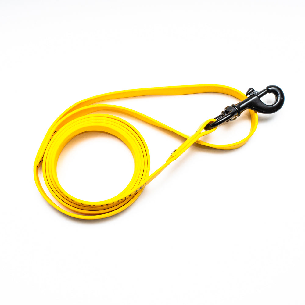 Biothane Leash 6ft (180cm/1.8m)