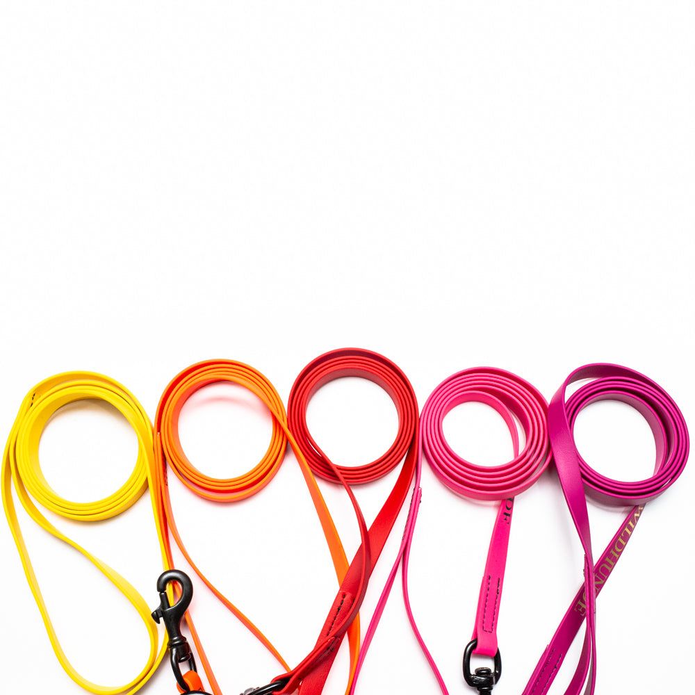 Biothane Leash 6ft (180cm/1.8m)