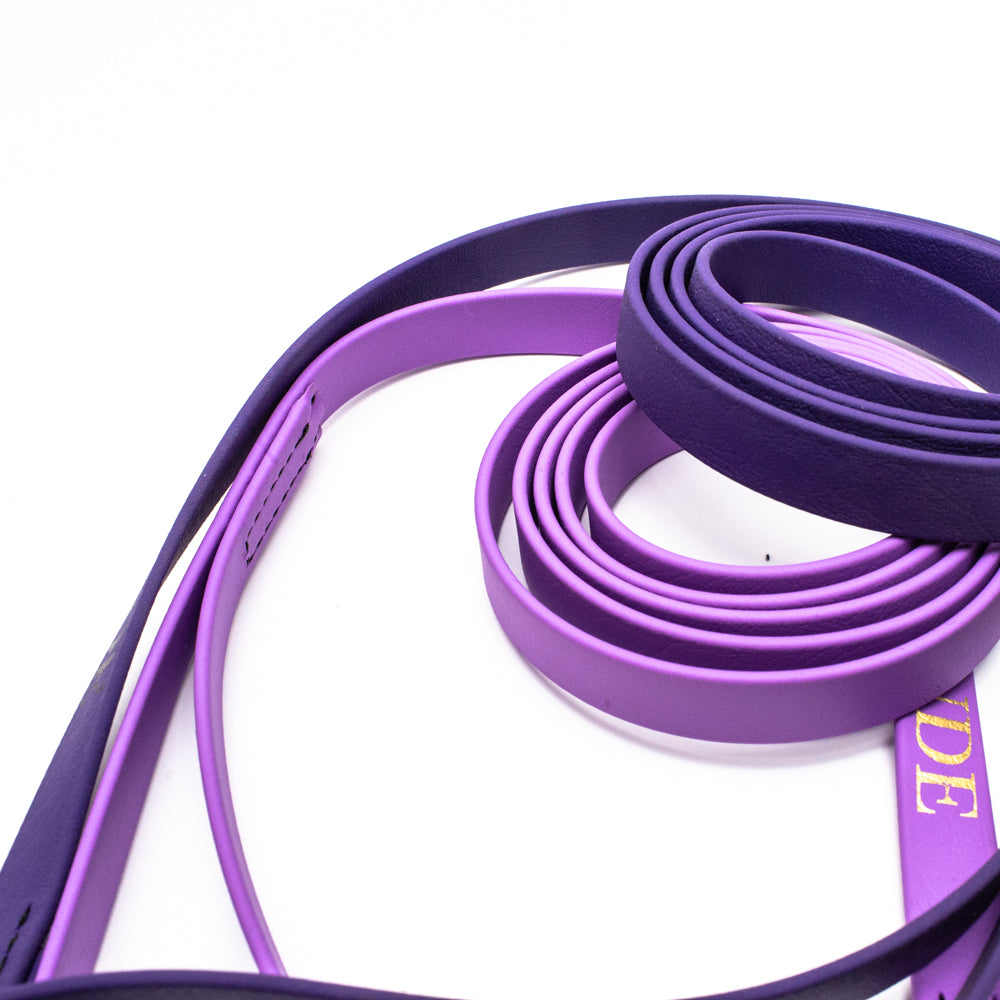 Biothane Leash 6ft (180cm/1.8m)