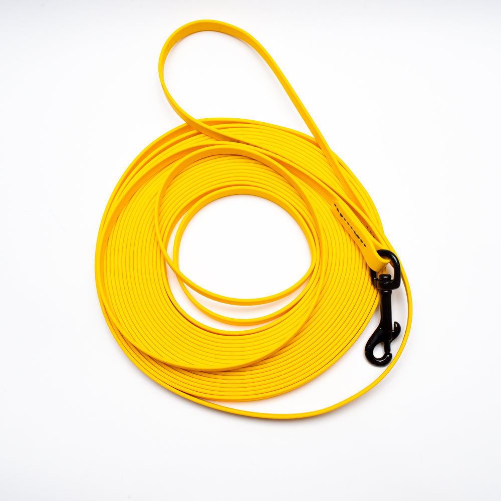 Biothane Puppy Light Long Line 10m
