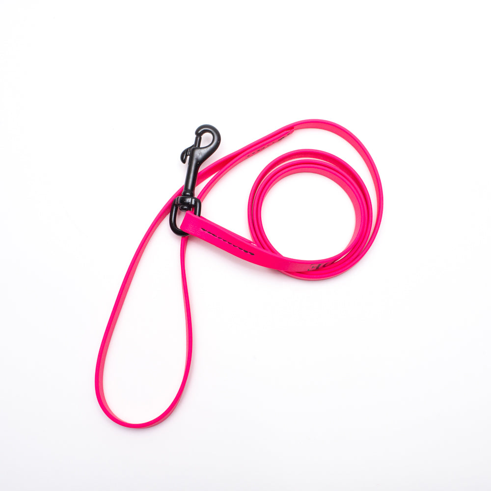 Biothane Light Weight Leash 4ft (120cm/1.2m)