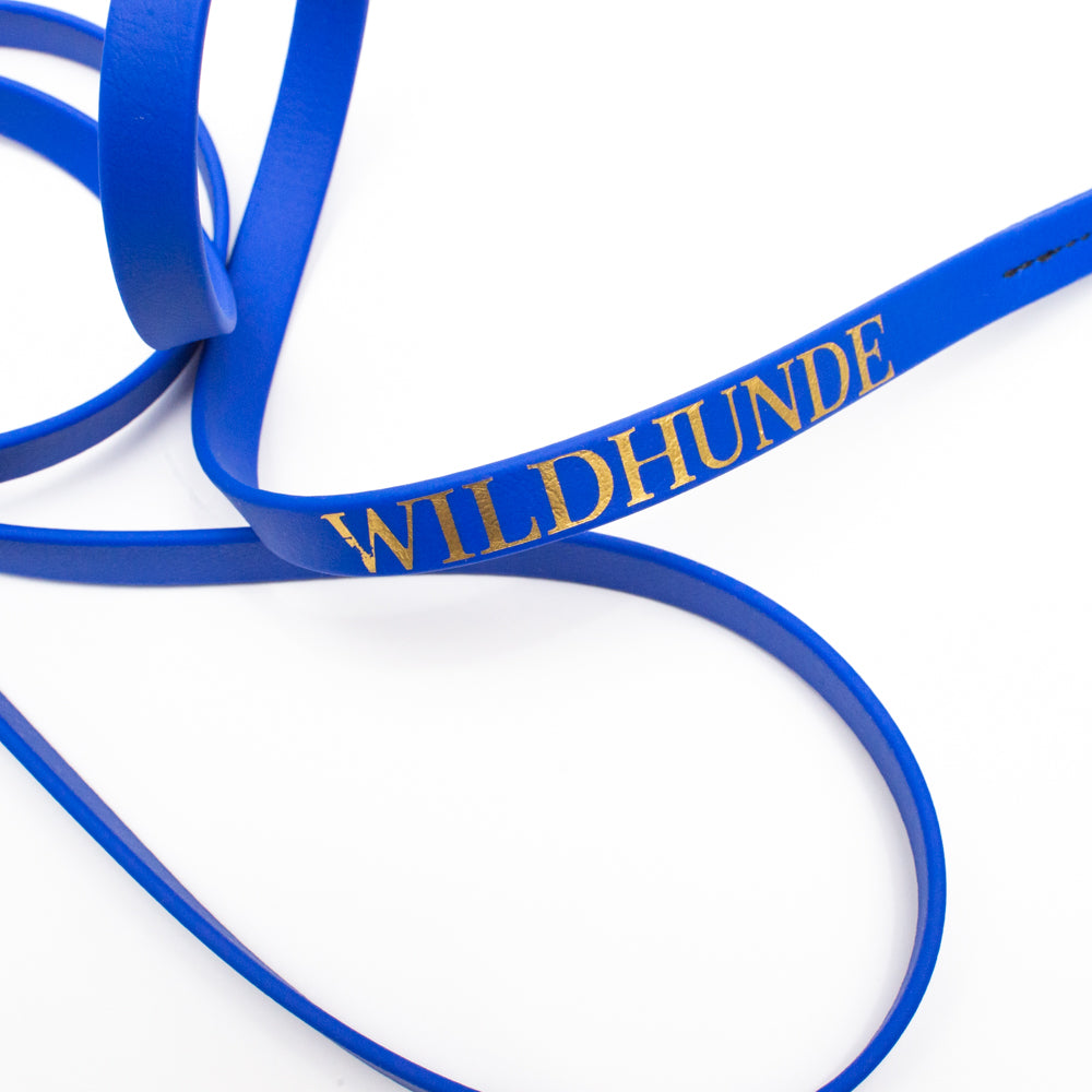Biothane Light Weight Leash 4ft (120cm/1.2m)