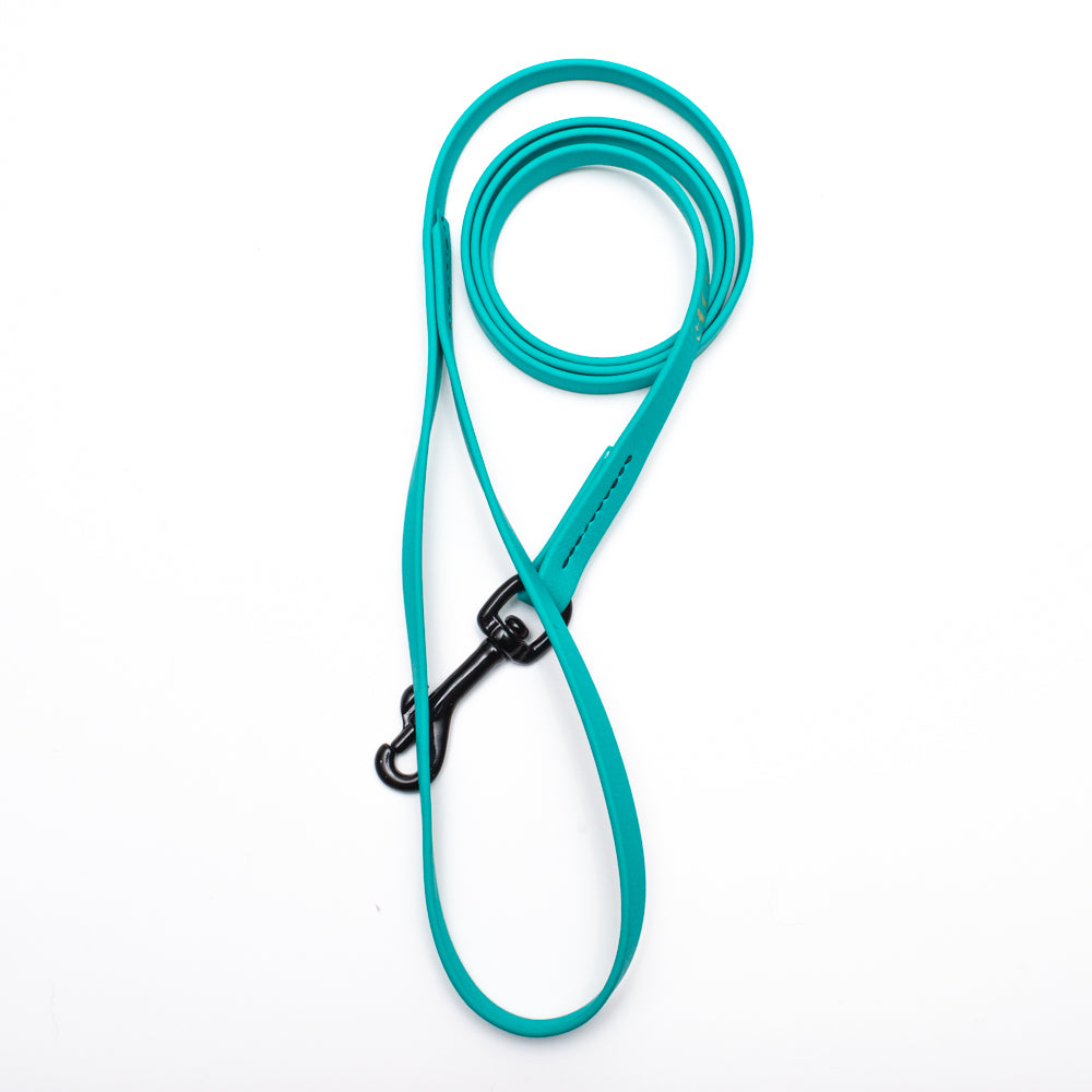 Biothane Light Weight Leash 4ft (120cm/1.2m)