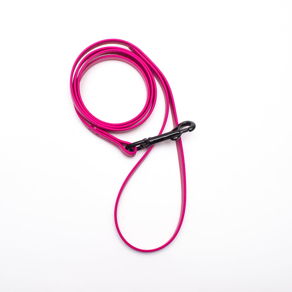 Biothane Light Weight Leash 4ft (120cm/1.2m)